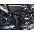 CARBONVANI - DUCATI XDIAVEL CARBON FIBRE CABLE PROTECTION CARBONVANI - DUCATI XDIAVEL CARBON FIBRE CABLE PROTECTION